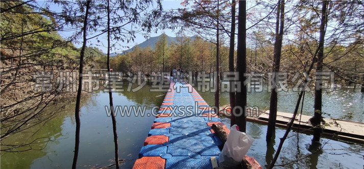 落羽杉濕地公園水上浮橋現場照-星沙浮筒6