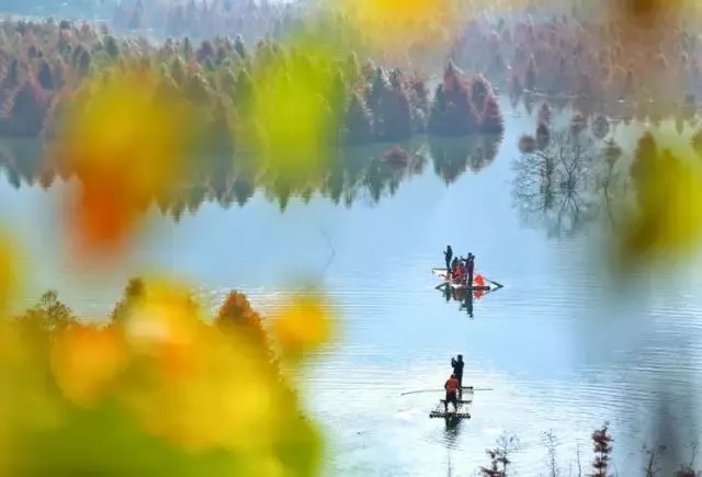 落羽杉濕地公園水上浮橋現場照-星沙浮筒8